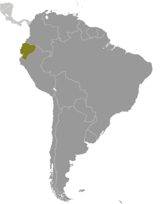 Locator map for Ecuador