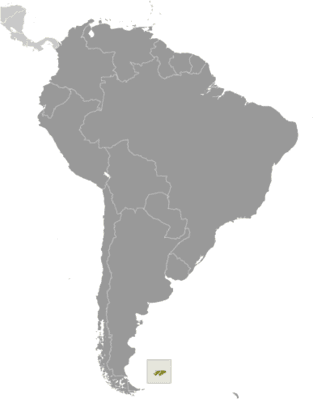 Locator map for Falkland Islands (Islas Malvinas)