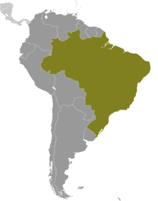 Map showing the location of Brazil