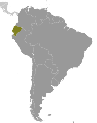 Map showing the location of Ecuador