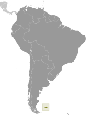 Map showing the location of Falkland Islands (Islas Malvinas)