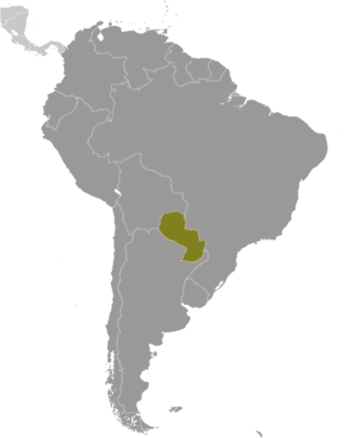 Map showing the location of Paraguay