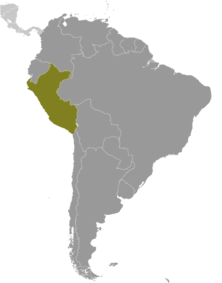 Map showing the location of Peru